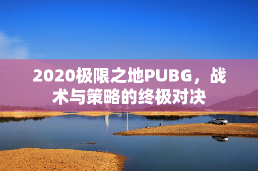 2020极限之地PUBG，战术与策略的终极对决