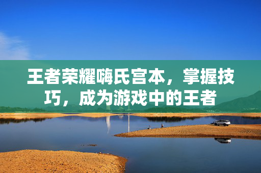 王者荣耀嗨氏宫本，掌握技巧，成为游戏中的王者