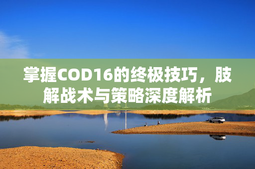 掌握COD16的终极技巧，肢解战术与策略深度解析