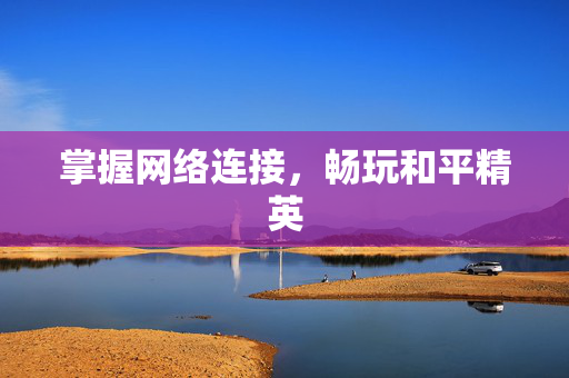 掌握网络连接，畅玩和平精英