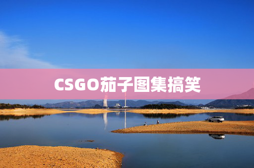 CSGO茄子图集搞笑