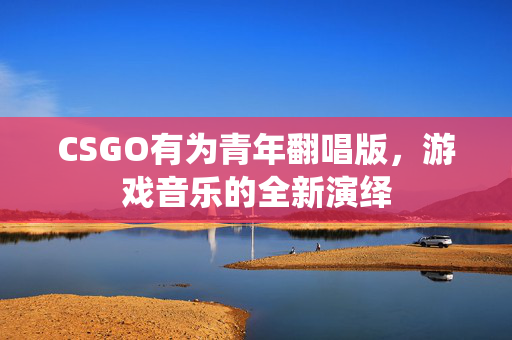 CSGO有为青年翻唱版，游戏音乐的全新演绎