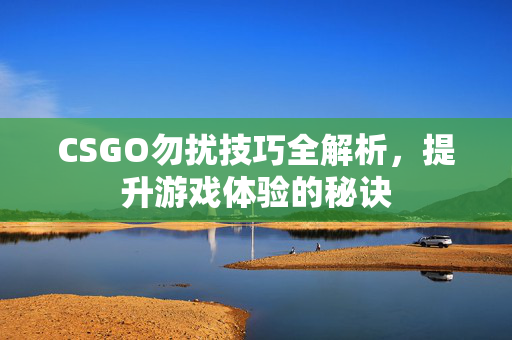 CSGO勿扰技巧全解析，提升游戏体验的秘诀