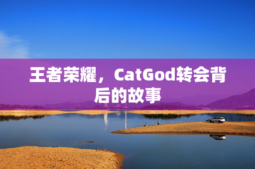 王者荣耀，CatGod转会背后的故事