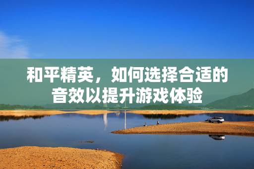 和平精英，如何选择合适的音效以提升游戏体验