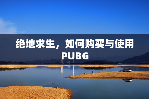 绝地求生，如何购买与使用PUBG
