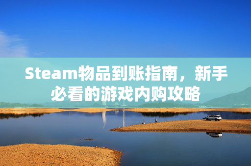 Steam物品到账指南，新手必看的游戏内购攻略