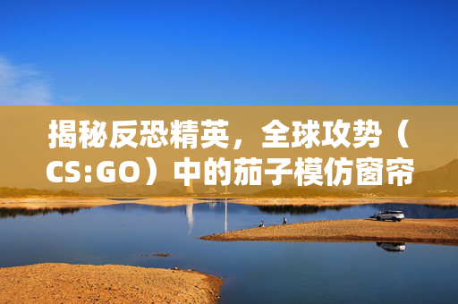 揭秘反恐精英，全球攻势（CS:GO）中的茄子模仿窗帘擦嘴技巧