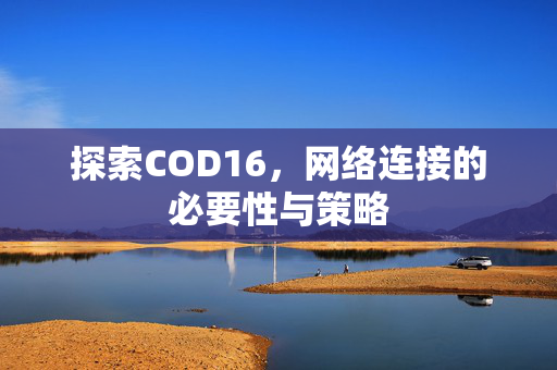 探索COD16，网络连接的必要性与策略