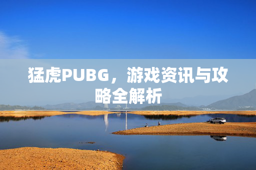 猛虎PUBG，游戏资讯与攻略全解析