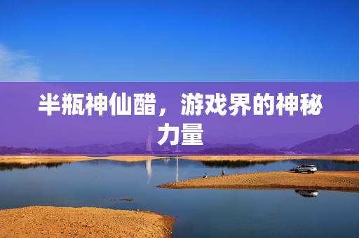 半瓶神仙醋,游戏界的神秘力量 半瓶神仙醋,游戏界的神秘力量