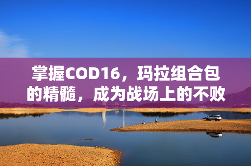 掌握COD16，玛拉组合包的精髓，成为战场上的不败王者