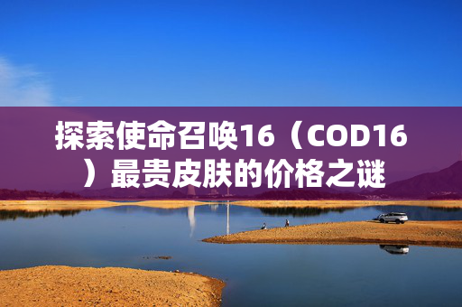 探索使命召唤16（COD16）最贵皮肤的价格之谜