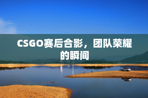 CSGO赛后合影，团队荣耀的瞬间
