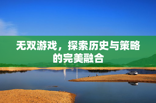 无双游戏，探索历史与策略的完美融合