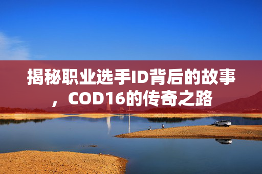 揭秘职业选手ID背后的故事，COD16的传奇之路