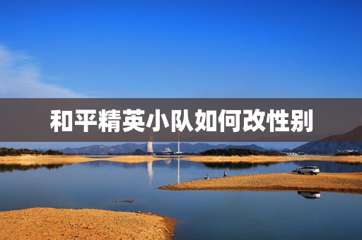 和平精英小队如何改性别