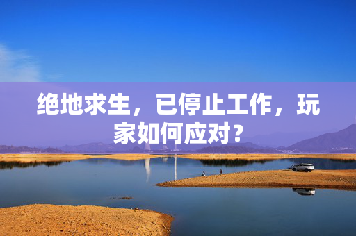 绝地求生，已停止工作，玩家如何应对？