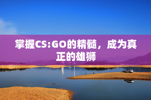 掌握CS:GO的精髓，成为真正的雄狮