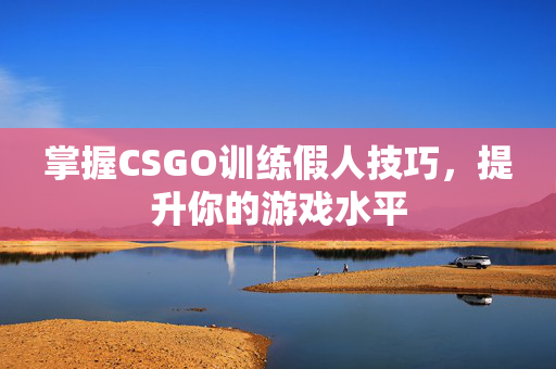 掌握CSGO训练假人技巧，提升你的游戏水平