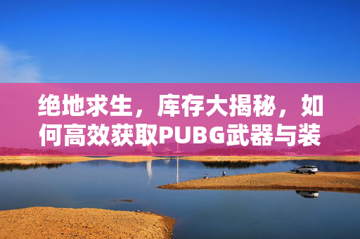 绝地求生，库存大揭秘，如何高效获取PUBG武器与装备