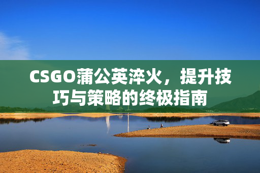 CSGO蒲公英淬火，提升技巧与策略的终极指南