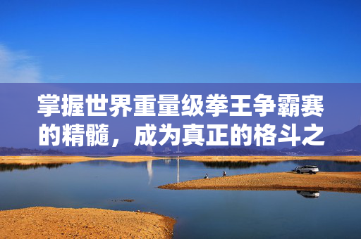 掌握世界重量级拳王争霸赛的精髓，成为真正的格斗之王