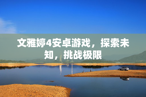 文雅婷4安卓游戏，探索未知，挑战极限