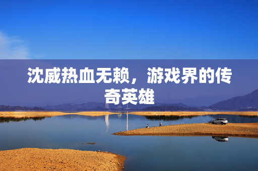 沈威热血无赖，游戏界的传奇英雄