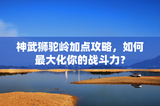 神武狮驼岭加点攻略，如何最大化你的战斗力？