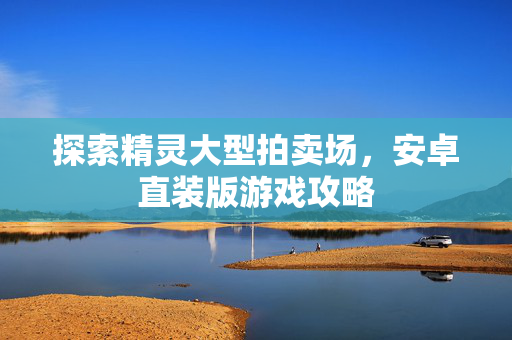 探索精灵大型拍卖场，安卓直装版游戏攻略