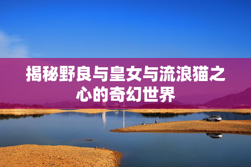 揭秘野良与皇女与流浪猫之心的奇幻世界