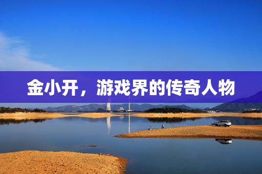 金小开，游戏界的传奇人物