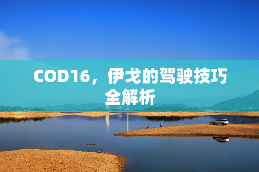 COD16，伊戈的驾驶技巧全解析