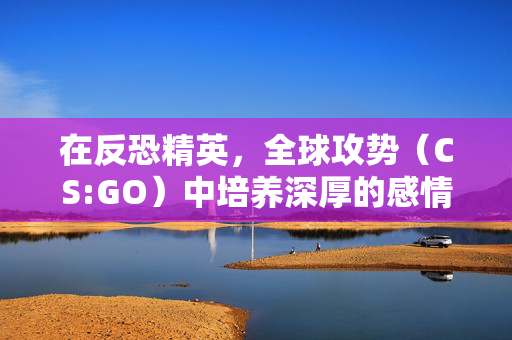 在反恐精英，全球攻势（CS:GO）中培养深厚的感情