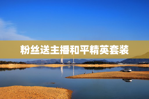 粉丝送主播和平精英套装