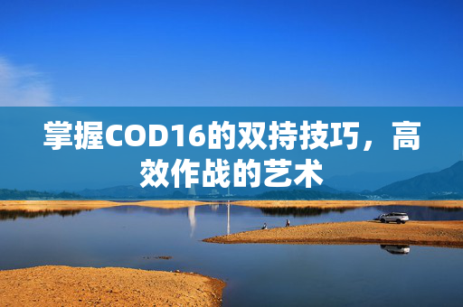 掌握COD16的双持技巧，高效作战的艺术
