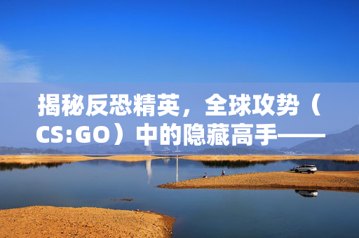 揭秘反恐精英，全球攻势（CS:GO）中的隐藏高手——阿珍