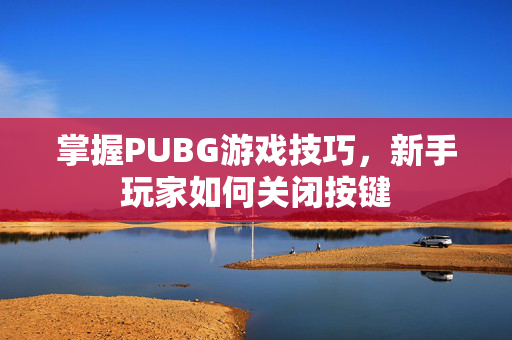 掌握PUBG游戏技巧，新手玩家如何关闭按键