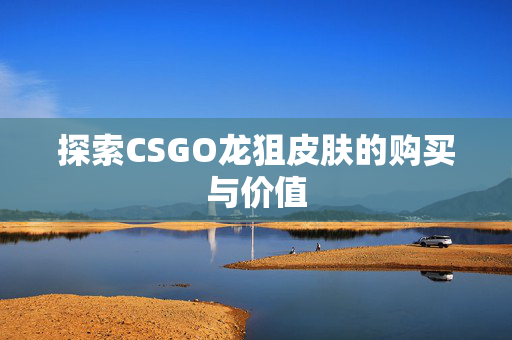探索CSGO龙狙皮肤的购买与价值