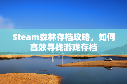 Steam森林存档攻略，如何高效寻找游戏存档