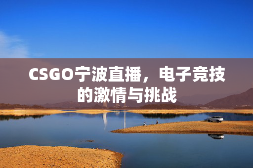 CSGO宁波直播，电子竞技的激情与挑战