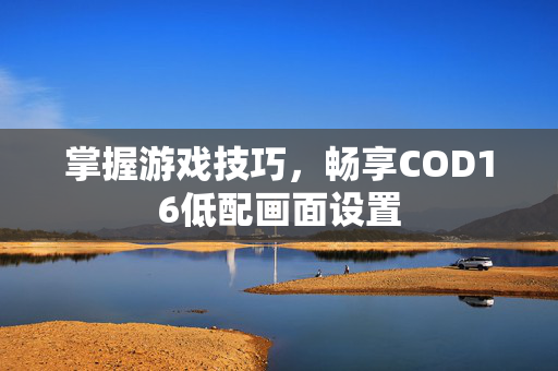掌握游戏技巧，畅享COD16低配画面设置
