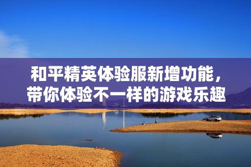 和平精英体验服新增功能，带你体验不一样的游戏乐趣！