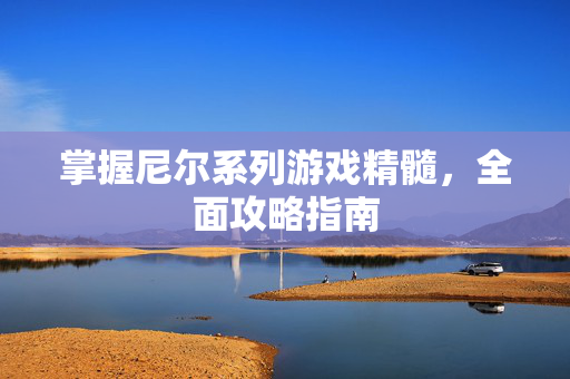 掌握尼尔系列游戏精髓，全面攻略指南