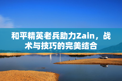 和平精英老兵助力Zain，战术与技巧的完美结合