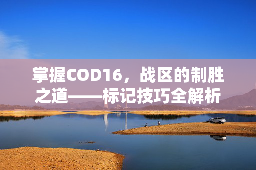 掌握COD16，战区的制胜之道——标记技巧全解析
