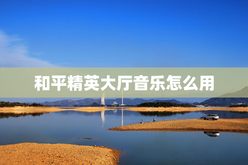 和平精英大厅音乐怎么用