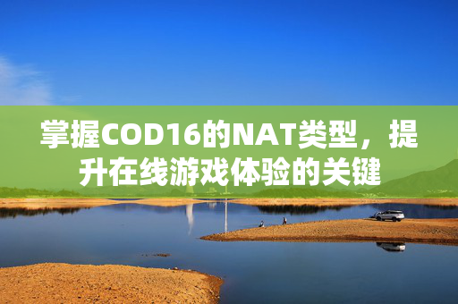 掌握COD16的NAT类型，提升在线游戏体验的关键