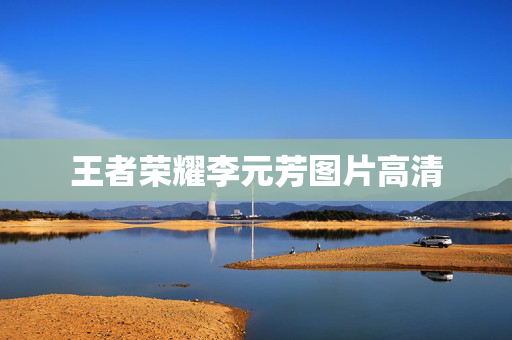 王者荣耀李元芳图片高清